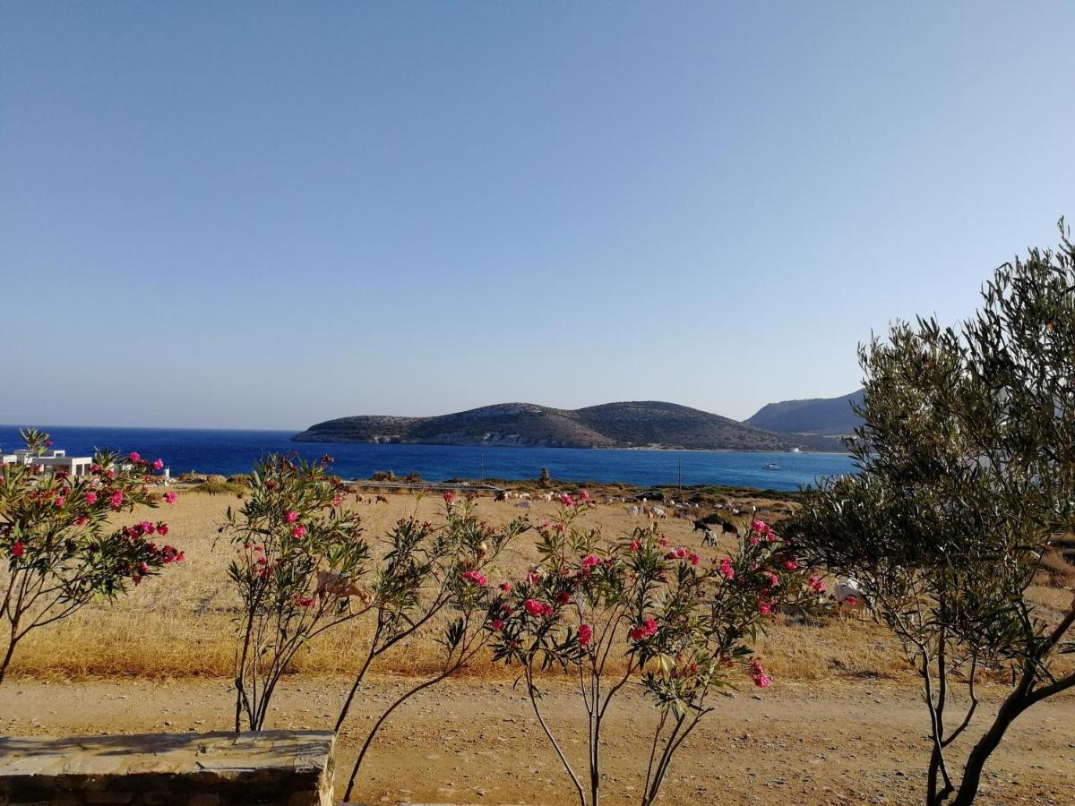 Gio St Gio Apartment 1 Antiparos St.Giorgio מראה חיצוני תמונה